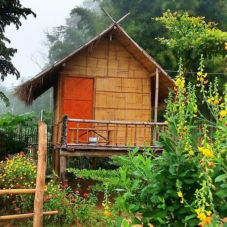 Baan Aingdoi Homestay, Чианг Дао Экстерьер фото