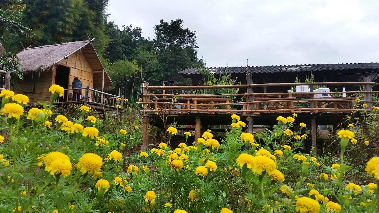 Baan Aingdoi Homestay, Чианг Дао Экстерьер фото