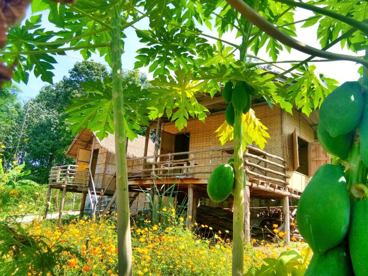 Baan Aingdoi Homestay, Чианг Дао Экстерьер фото
