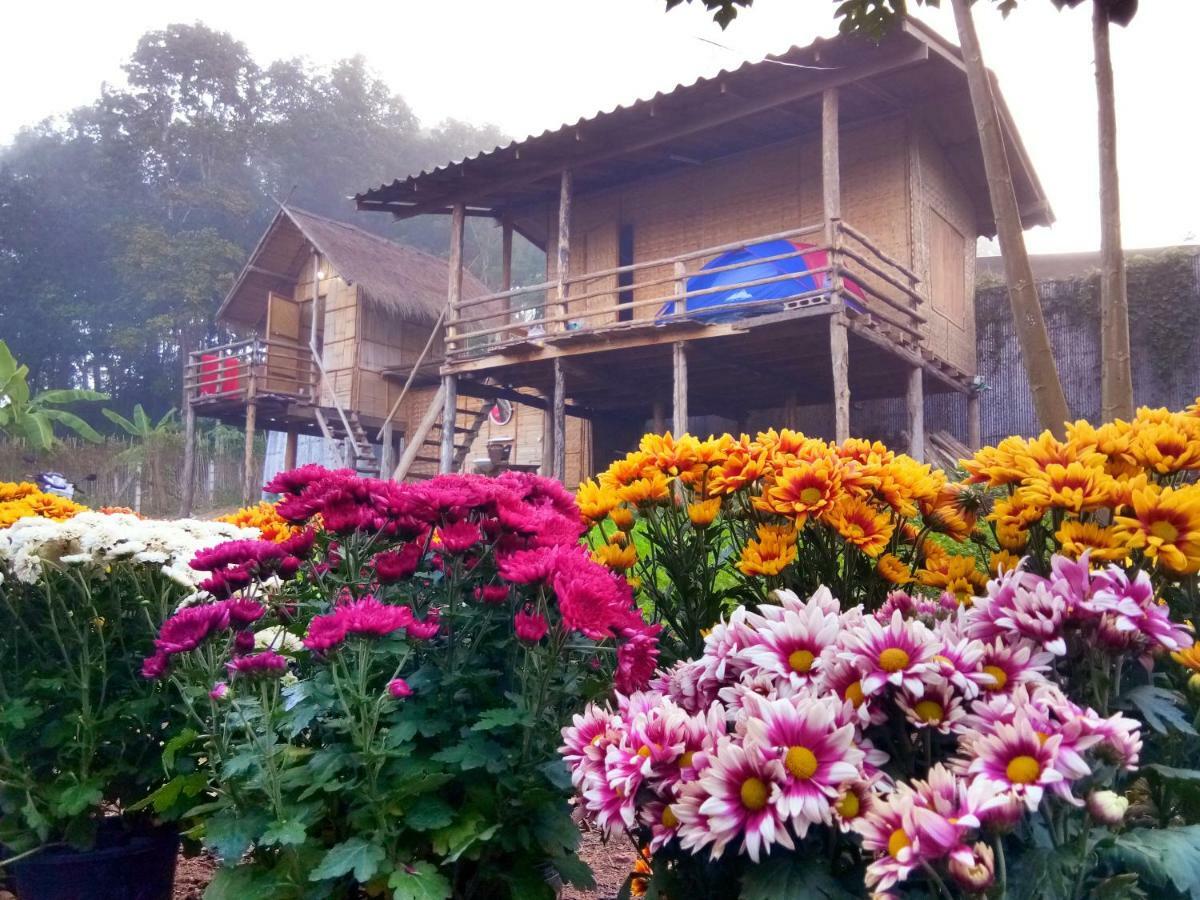 Baan Aingdoi Homestay, Чианг Дао Экстерьер фото