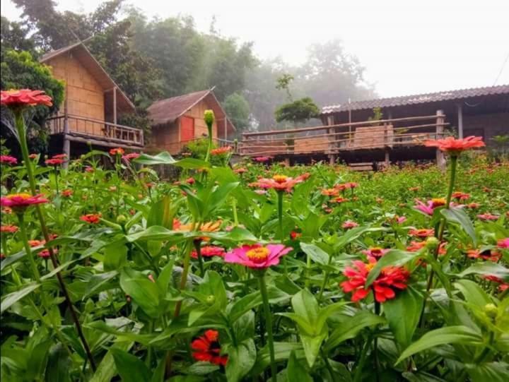 Baan Aingdoi Homestay, Чианг Дао Экстерьер фото