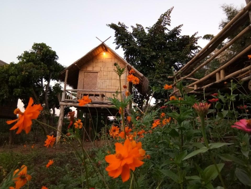 Baan Aingdoi Homestay, Чианг Дао Экстерьер фото