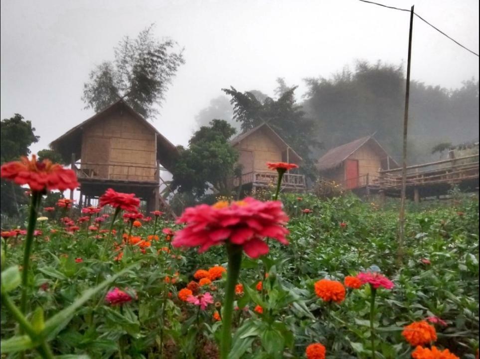 Baan Aingdoi Homestay, Чианг Дао Экстерьер фото